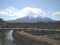 山中湖花の都公園と富士山