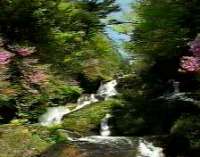 奥日光竜頭の滝