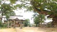 青畑神社